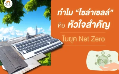ทำไมโซล่าเซลล์คือหัวใจสำคัญของภาคอุตสาหกรรมในยุค Net Zero