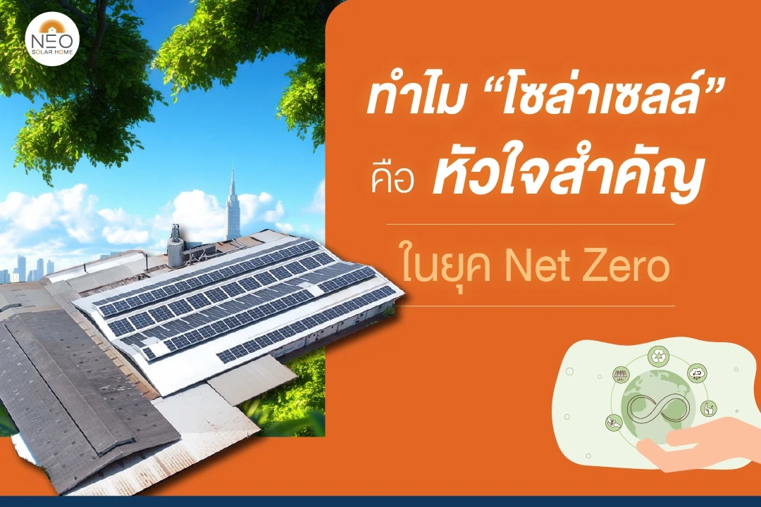 ติดโซล่าเซลล์ 1 ตารางเมตร